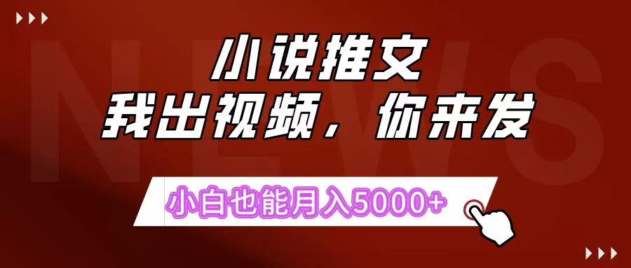 抖推猫最新玩法，小白也能月入5000+，小说推文无需剪辑，直接代发，2分钟直接搞定