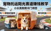 宠物托运阳光赛道賺钱教学，小众高刚需冷门项目，日均10单稳定盈利，单均利润200+