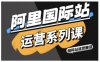 阿里国际站运营系列课，涵盖精准引流、直通车与全站推实战SOP，搭配AI效率工具包与高阶增长玩法(更新)