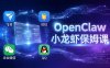 OpenClaw小龙虾保姆课： Windows/macOS/Linux/Docker全系统安装，飞书+钉钉+企业微信+QQ 全接入