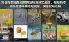 抖音爆款抽象动物舞蹈短视频实战课，轻松制作高热度趣味舞蹈短视频，快速起号涨粉