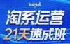 白凤电商·淘系运营21天速成班(更新4月)