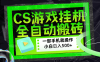 CSGO游戏挂机捡漏搬砖，超稳定的项目，带领1000+小白实现日入500+，数据可视频验证