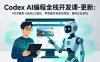 Codex AI编程全栈开发课-更新：MCP服务+Skills工程化，学完能开发旅行网站、重构企业系统
