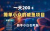 一天收入2张，一个简单小众的咸鱼项目，0门槛小白也能做