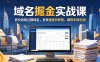 域名交易掘金实战课，低价收购过期域名，并快速高价转售，賺取丰厚利润【原创双语字幕】