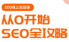 若凡老师·谷歌SEO实操课(更新)