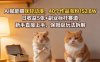 AI赋能猫咪轻动漫，40个作品涨粉152.8W，日收益5张+副业标杆赛道，新手直接上手，保姆级玩法拆解