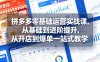 拼多多零基础运营实战课，从基础到进阶提升，从开店到爆单一站式教学