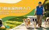 热门副业遛狗师入门，无门槛零经验可学，掌握宠物照料遛狗规范，轻松实现灵活增收