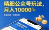 精细公众号玩法，月入10000+，实操指南，快速变现