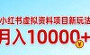 小红书虚拟资料项目最新玩法，月入10000＋