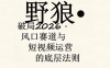 野狼团队·多平台实操运营课(更新4月)