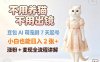 不用养猫不用出镜，豆包AI萌宠剧7天起号，小白也能日入2张+，涨粉+变现全流程讲解