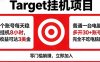 海外平台Target，正规运营商合作、技术兜底长期稳定、防风控、任务不断档、收益透明、灵活提…