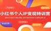 小红书个人IP变现特训营：解析平台规则与爆款逻辑，手把手教内容创作引流带货做私域