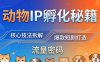 动物IP孵化全套秘籍，三大核心技法拆解，打造爆款萌宠短剧，轻松拿捏赛道流量密码