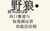 野狼团队·多平台实操运营课，覆盖AI口播、服装、好物、漫剪等热门玩法(更新4月29日)