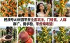 视频号AI树苗带货全套玩法，门槛低、人群广、需求稳，带货嘎嘎猛！(更新0426)