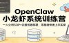 OpenClaw小龙虾系统训练营：一人公司SOP，云服务器部署，零基础快速上手实操