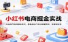 小红书电商掘金实战：从选品开店到爆款笔记，覆盖虚拟产品与直播带货，零基础变现