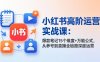 小红书高阶运营实战课：爆款笔记15个维度+万能公式，从养号到直播全链路深度运营
