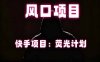 快手风口项目，荧光计划托管，长期稳定，适合批量做