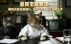 最新宝藏赛道！猫咪还原经典港片，涨粉飞快，新手简单上手