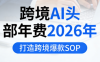 跨境AI头部年费2026年，打造跨境爆款SOP(更新5月)