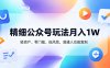精细公众号玩法月入1W，轻资产、零门槛、低风险，普通人也能复制【揭秘】