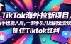 Tc联盟TikTok海外拉新项目，新手也能入局，一部手机开启副业变现，抓住Tiktok红利