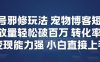 视频号邪修玩法宠物博客短视频，播放量轻松破百万，转化率高，变现能力强，小白直接上手