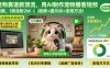 宠物赛道新顶流，用AI制作宠物播客短视频，1周涨粉2W(视频+提示词+变现方法)