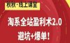 淘系全站盈利术2.0，避坑+爆单