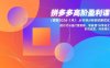 拼多多高阶盈利课(更新2026-1月