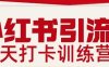 小红书引流21天打卡训练营第二期，助你快速打通小红书私域引流打粉