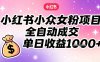 小红书小众女粉项目，全自动成交，单日收益多张