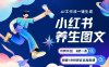 AI一键生成小红书养生图文，一刀不剪无需剪辑，可带书带素材带资料带徒弟，流量财富嘎嘎猛