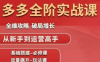 大炮·拼多多全阶实战课程(更新2026)