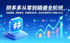 拼多多从零到精通全阶班，流量爆破、疑难解决，构建盈利体系，单店月销破百万(更新2026