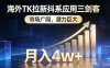 海外TK拉新抖系应用三剑客，市场广阔，潜力巨大，月入1w+