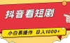抖音看短剧，一部手机，零投入，小白轻松上手，简单易操作，一天1000+