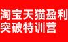 玺承·淘宝天猫盈利突破特训营(25年12月线下课)【音频+字幕】