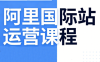 张国儒·阿里国际站运营课程(更新2026)