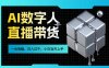 AI数字人直播带货风口已来，一台电脑在家日入过千，小白当天上手的赚钱技能