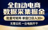 全自动电商数据采集掘金 批量可矩阵 单窗口轻松日入30+