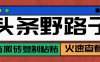 头条单账号日收益300+野路子玩法赛道，无脑搬砖复制粘贴，保姆级教程