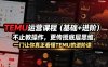 TEMU运营课程(基础+进阶)，不止教操作，更传授底层思维，一门让你真正看懂TEMU的进阶课
