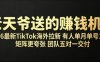 老天爷送的賺钱机会！2026最新TikTok海外拉新，有人单月单号10W+，矩阵更夸张，团队交付【揭秘】