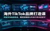 海外TikTok品牌打造课：利基市场选品验证，爆款短视频AI内容付费投放教学